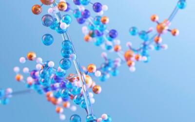 What is Metabolism? Diet, exercise, and effects on muscle growth
