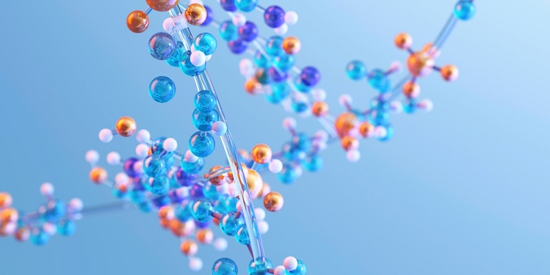 What is Metabolism? Diet, exercise, and effects on muscle growth