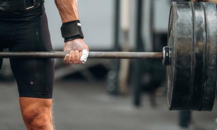 One Set Workout Routine