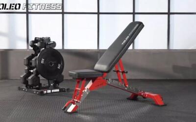 Yoleo Commercial Weight Bench Review: lift heavy, safely for under $200