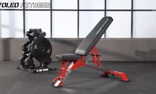 Yoleo Commercial Weight Bench Review: lift heavy, safely for under $200