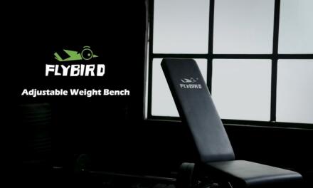 FlyBird Adjustable Weight Bench Review: is it still the best foldable weight bench?