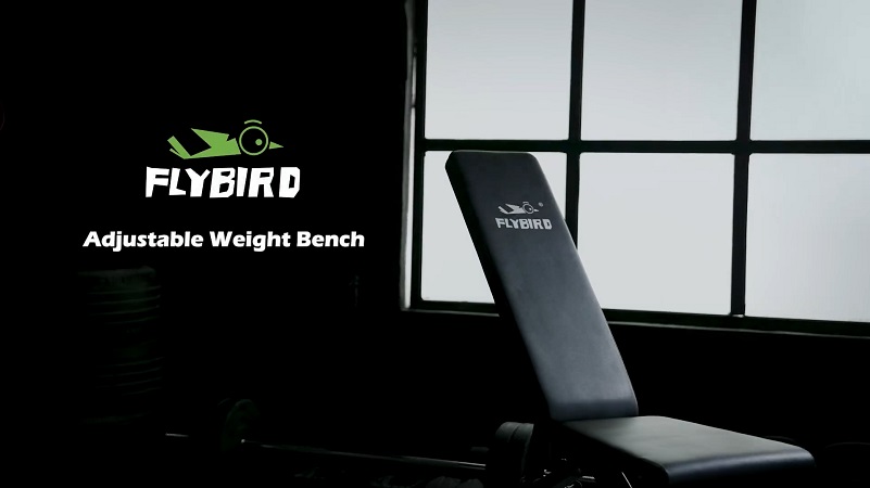 FlyBird Adjustable Weight Bench Review: is it still the best foldable weight bench?