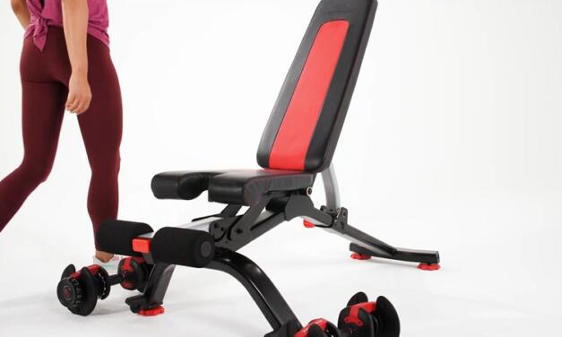 Bowflex 5.1s Stowable Bench Review: Everything you need to know