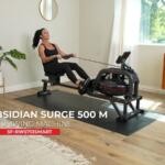 sunny obsidian surge 500 review
