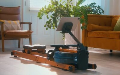 Best Water Rowing Machines: 5 Great Picks for Every Budget