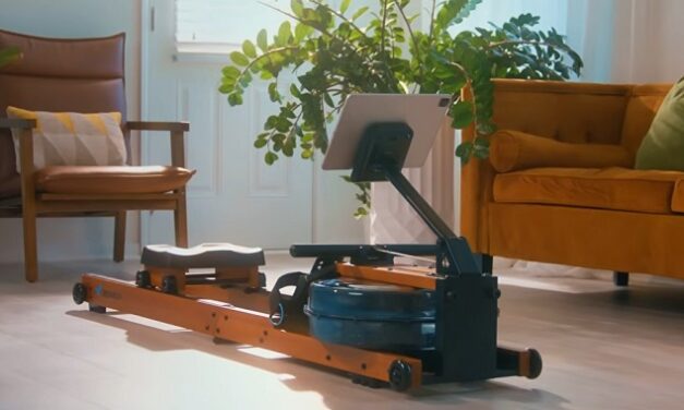 Best Water Rowing Machines: 5 Great Picks for Every Budget